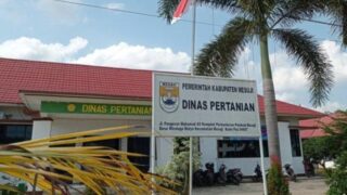 Fungsi Bidang Sapras Dinas Pertanian Kabupaten Mesuji dipertanyakan?