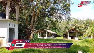 3,6 M,Mengendap di Sembilan Kelompok Ternak, Wajib Mengembalikan