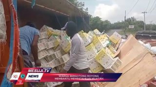GAGAL MENIKUNG TRUK BUAH TERGULING DI MESUJI