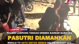Mesuji Tv -JADI BANDAR NARKOBA, PASUTRI LAMPUNG TENGAH DITANGKAP POLISI